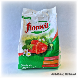 Nawóz do truskawek 3 kg Florovit
