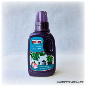 Nawóz do roślin zielonych 0,25 l Substral