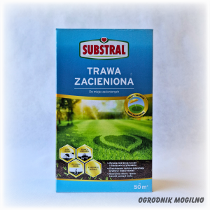 Trawa na miejsca zacienione 1 kg Substral