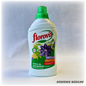 Nawóz do powojników 1 l Florovit