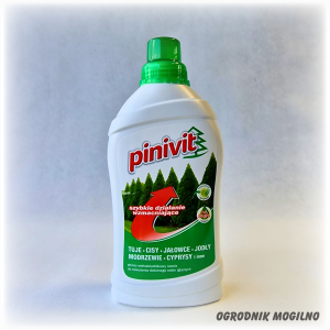 Nawóz pinivit do iglaków 1 l Florovit