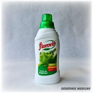 Nawóz do paproci 0,5 l Florovit
