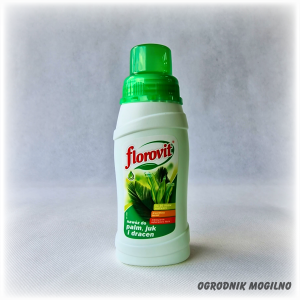 Nawóz do palm juk i dracen 0,25 l Florovit
