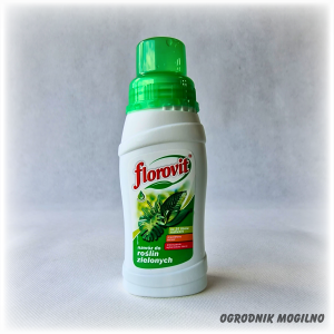 Nawóz do roślin zielonych 0,25 l Florovit