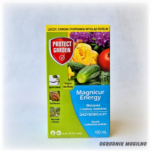 Magnicur Energy 100 ml Protect Garden