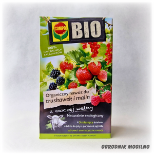 Nawóz do truskawek 0,75 kg Compo