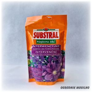 Nawóz do powojników Magiczna Siła Substral
