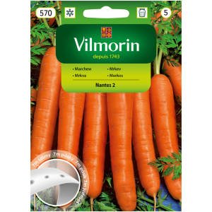 Marchew Nantes 2 na taśmie 7m Vilmorin