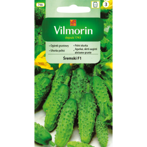 Ogórek Śremski F1 3 g Vilmorin