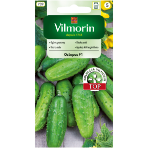 Ogórek konserwowy Octopus F1 1,5 g Vilmorin