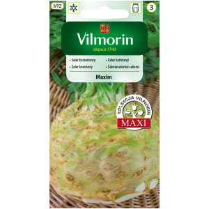 Seler korzeniowy Maxim 0,5 g Vilmorin