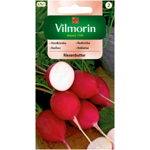 Rzodkiewka Risenbutter 10 g Vilmorin