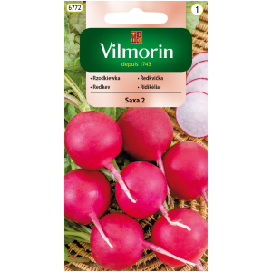 Rzodkiewka Saxa 2 10 g Vilmorin