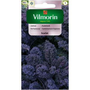 Jarmuż Scarlet 2 g Vilmorin