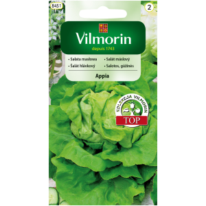 Sałata masłowa Appia 0,5 g Vilmorin