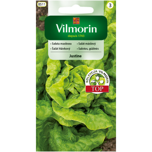 Sałata masłowa Justine 0,5 g Vilmorin