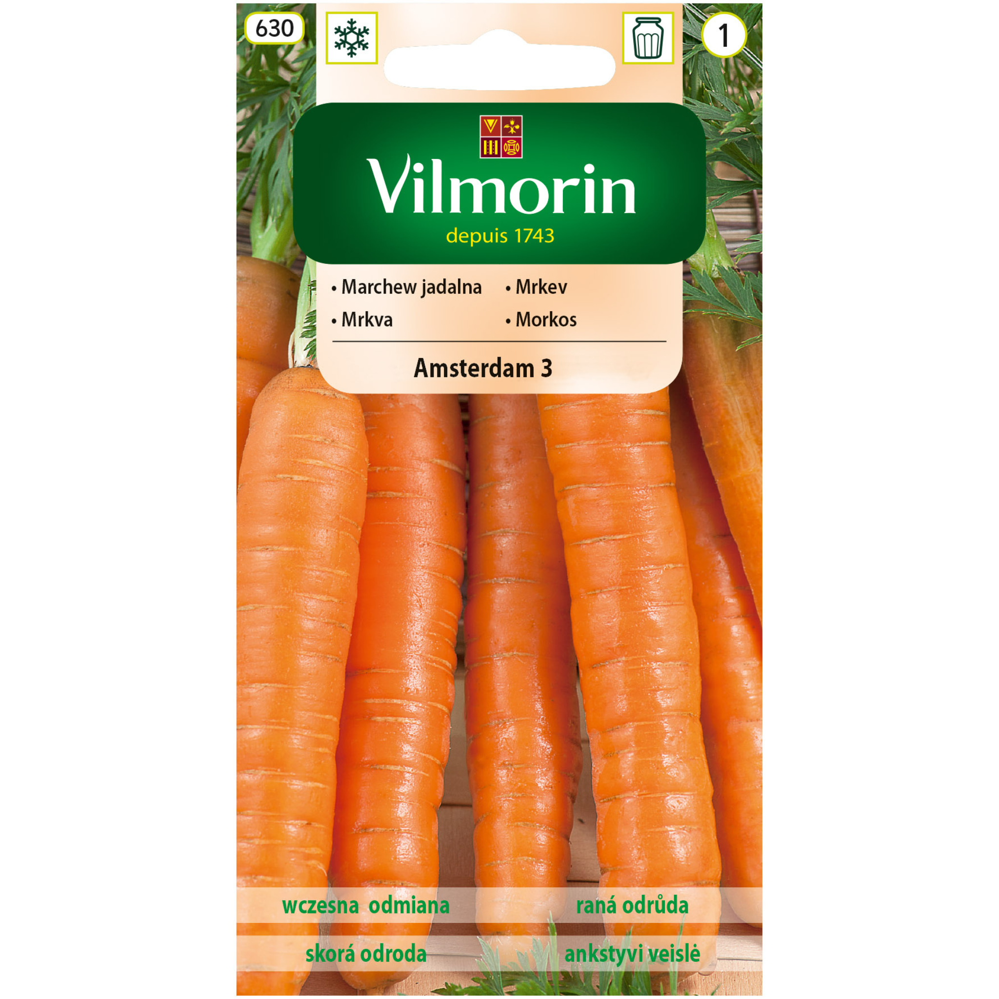 Marchew Amsterdam 3 5 g Vilmorin