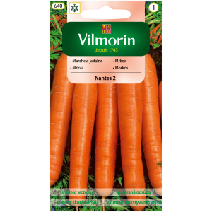 Marchew Nantes 2 5 g Vilmorin