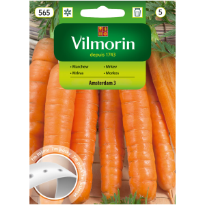 Marchew wczesna Amsterdam 3 na taśmie 7m Vilmorin