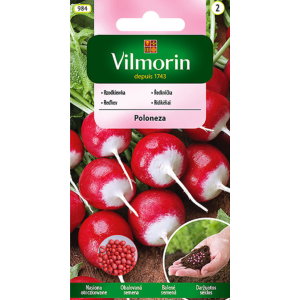 Rzodkiewka Poloneza otoczkowana 300 szt Vilmorin