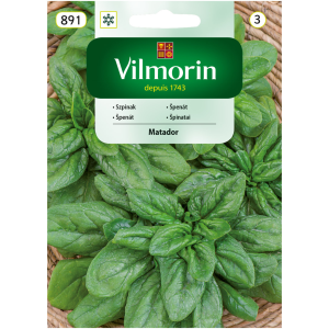 Szpinak Matador 20 g Vilmorin