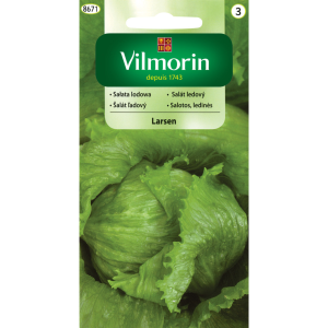 Sałata lodowa Larsen 0,5 g Vilmorin