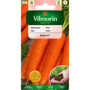 Marchew Bolero F1 otoczkowana 400 szt Vilmorin