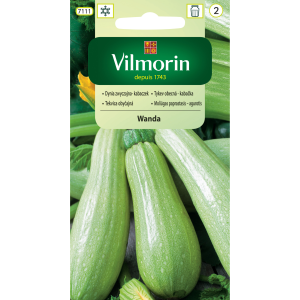 Kabaczek Wanda 2 g Vilmorin