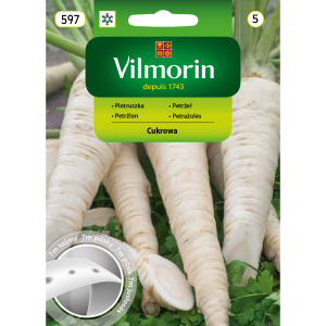 Pietruszka Cukrowa na taśmie 7m Vilmorin