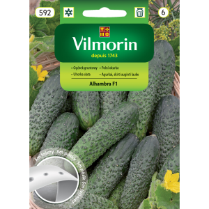Ogórek Alhambra F1 Vilmorin na taśmie 5m