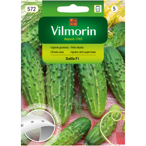 Ogórek Dalila F1 Vilmorin na taśmie 7m