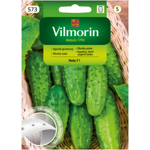 Ogórek Hela F1 Vilmorin na taśmie 7m
