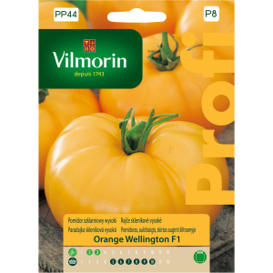 Pomidor Orange Wellington 15 szt F1 Vilmorin