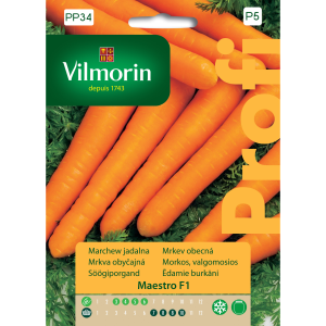 Marchew Maestro F1 2 g Vilmorin