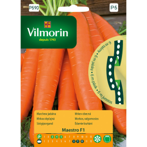 Marchew Maestro F1 na taśmie 6m Vilmorin
