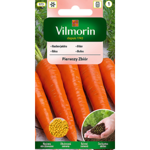 Marchew Pierwszy Zbiór otoczkowana 400 szt Vilmorin