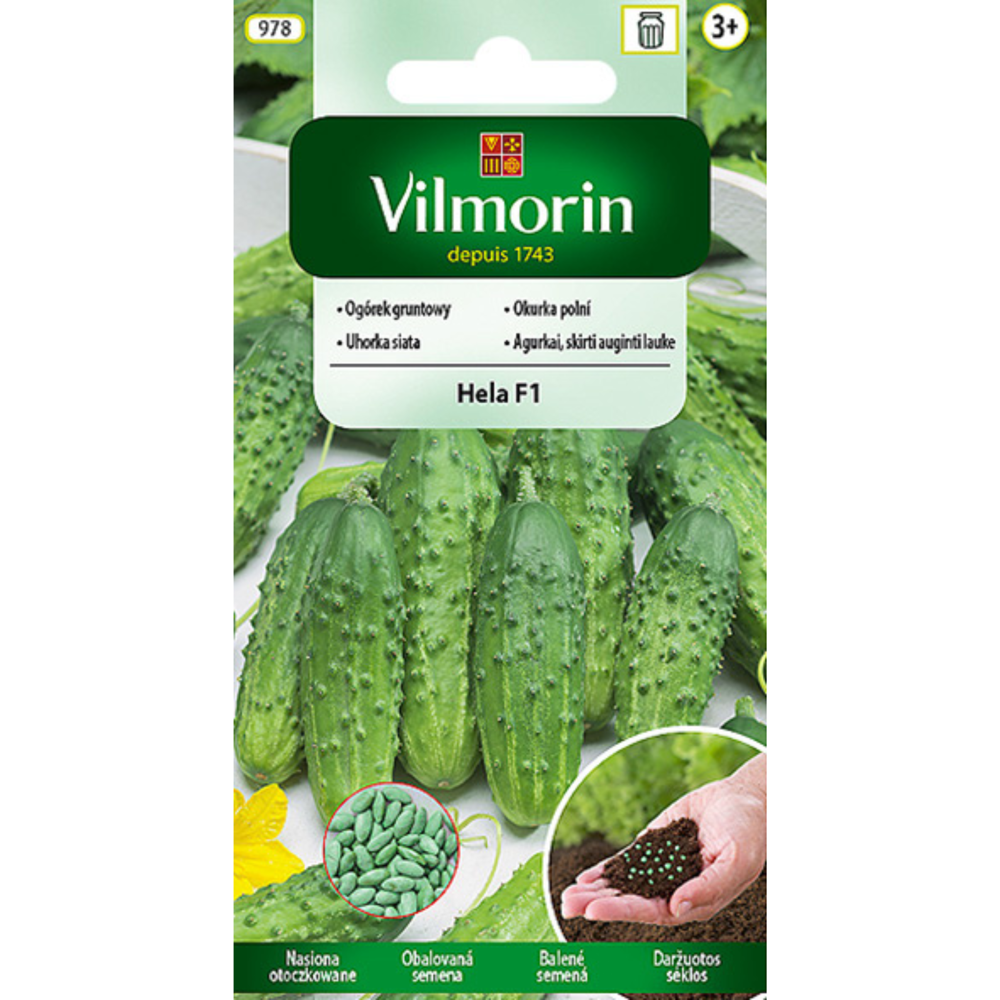 Ogórek Hela F1 otoczkowany 50 szt Vilmorin