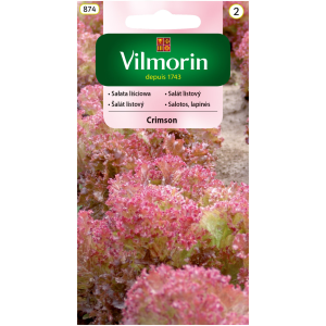 Sałata liściowa Crimson 1 g Vilmorin