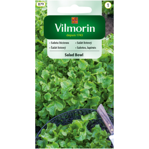 Sałata liściowa Salad Bowl 1 g Vilmorin