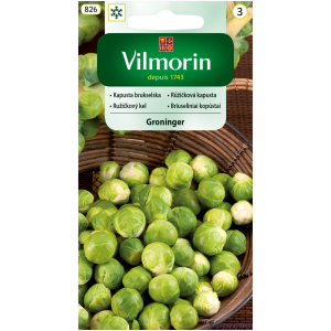 Kapusta brukselska Groninger 2 g Vilmorin