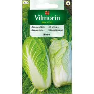 Kapusta pekińska Hilton 0,5 g Vilmorin