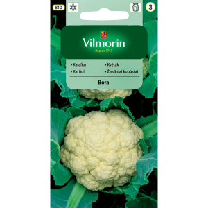 Kalafior Bora 1 g Vilmorin