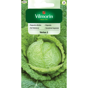 Kapusta włoska Vertus 2 2 g Vilmorin