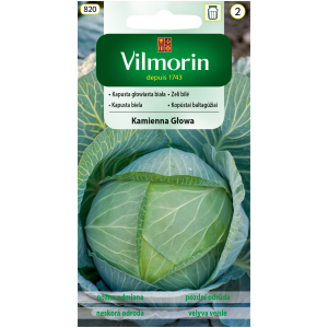 Kapusta Kamienna Głowa 2 g Vilmorin