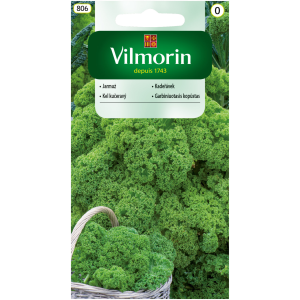 Jarmuż Halbhoher Groener 2 g Vilmorin