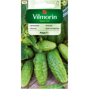 Ogórek konserwowy Polan F1 3 g Vilmorin