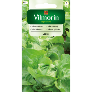 Sałata masłowa Lento 0,5 g Vilmorin
