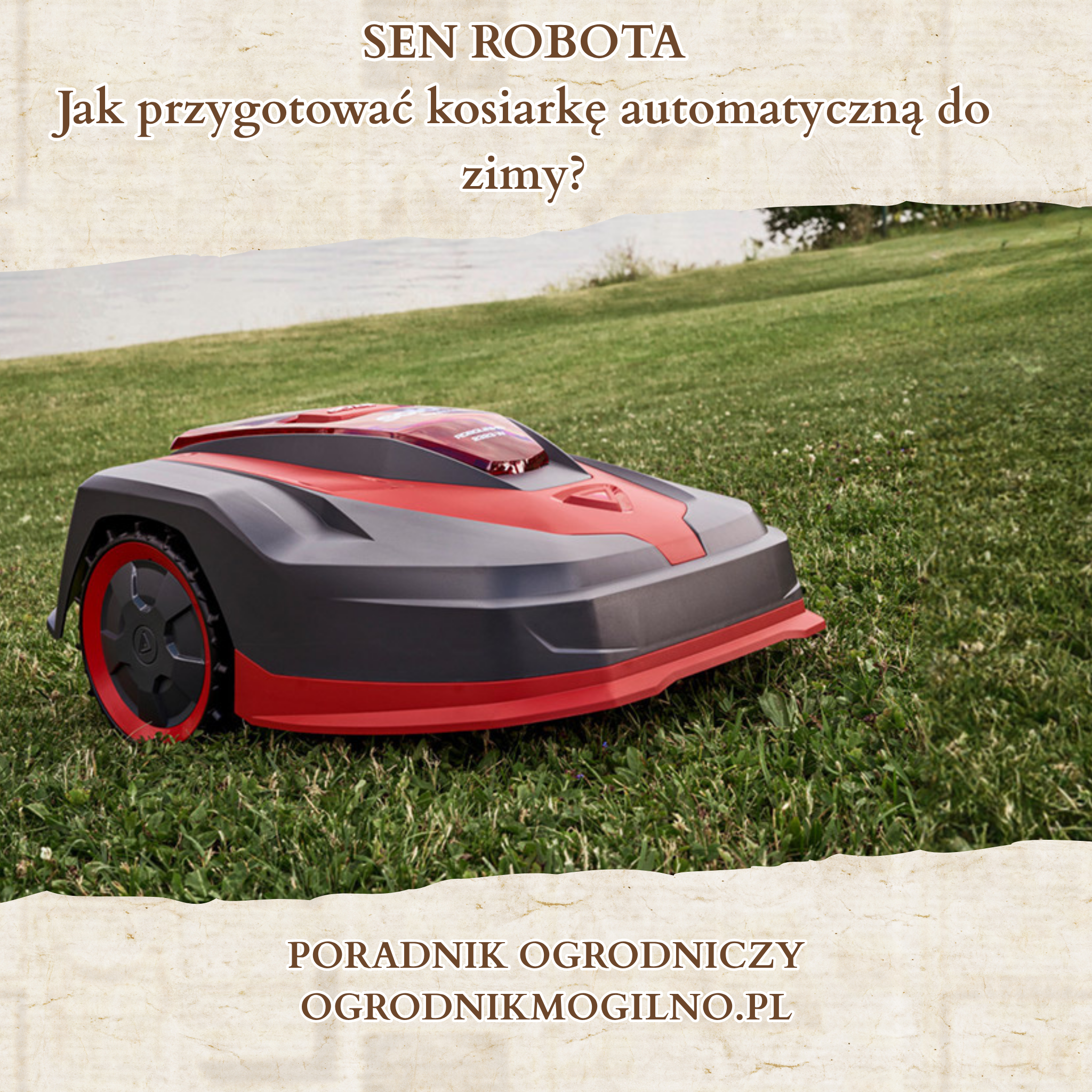 sen robota